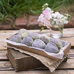 Nex于全球发布体感音乐游戏《Starri （星动旋律）》随时随地享受仿如 VR 作品般的沉浸式体验